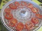déshydratation de tomates séchées Deshydratation_des_tomates_sechees_010