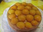Gâteau aux abricots sans cuisson + photos. Gateau_aux_abricots_rapide_sans_cuisson_007