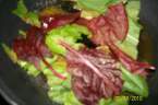 Farfalles aux saucisses et oseille + photos. L_oseille_rouge_et_herbes_aromatiques_002