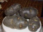 salade de pommes de terre vitelottes Pommes_de_terre_bleu_02