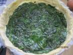 Quiche aux pousses d'épinards et saumon rose.  + photos. Quiche_de_pousses_d_epinards_et_saumon_rose_013