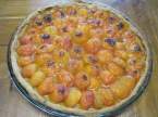 tarte aux abricots .photos. Tarte_aux_abricots_nature_001