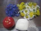 Salade de fleurs à la mozzarella. photos. Salade_de_fleurs__la_mozzarella_002