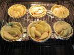 Tartelettes aux pommes sur une confiture d'abricots. Tartelettes_aux_pommes_et_confiture_d_abricots_007