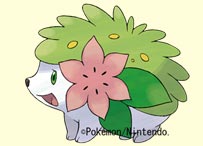 Kommen wir nochmal zu shaymin/wurde erweitert - Seite 2 Presents_kaijou_01_a