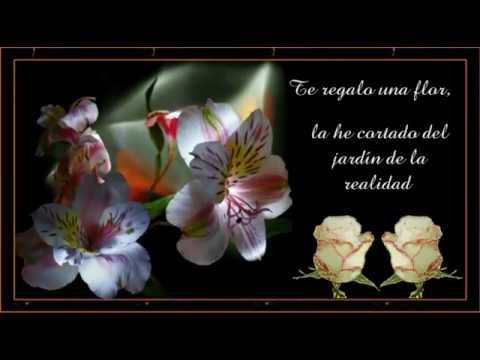 Regalame una flor.  - Página 12 Hqdefault