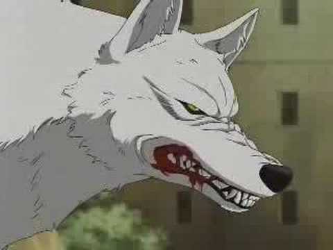 Wolf's Rain (Charcaters from wolf's Rain, Jerica,Zoro,and Raita are allowed) 0