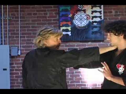 X-Treme Kenpo Karate DVD with Larry Tatum - Video Dạy Karate chuyên sâu của Larry Tatum 0