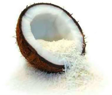 صور جوز الهند Coconut_Fruit