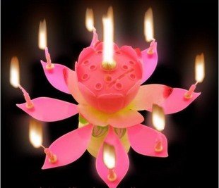 بمناسبة عيد ميلاد Admin Lotus-flower-music-font-b-Candles-b-font-font-b-birthday-b-font-font-b-candle