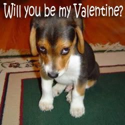 St Valentine Sorrydogvalentine