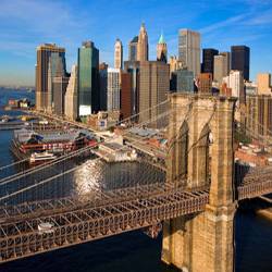 Welcome to Suki City  BESTBrooklyn_Bridge