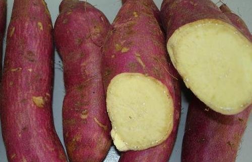 اسماء الفاكهة والخضروات  بالامارات Sweet_potato