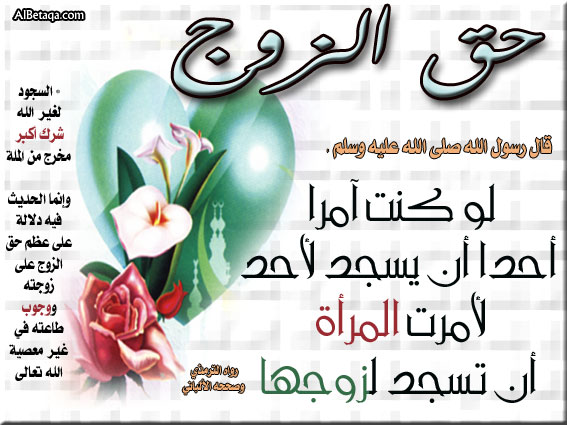 كنوز نسائية‎ 9184a59116af