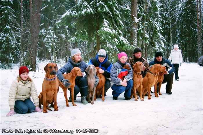 La PHOTO du JOUR ou de la SEMAINE - Page 6 732abe8be5c3