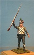 VID soldiers - Napoleonic french army sets - Page 2 Fa979ca9f5adt