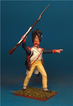 VID soldiers - Napoleonic french army sets - Page 4 E40c80d92cddt