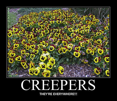 FunnyCraft, images trolls et insolites de Minecraft Halolz-dot-com-minecraft-creeper-flowers-motivational