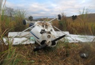 POUSO - [Brasil] Perícia da Aeronáutica encontra urubu em avião que fez pouso forçado  Avi%C3%A3o%20capa