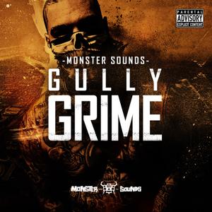 Monster Sounds Gully Grime-MULTiFORMAT 07b59b4d60e323c518f6930ba32a9616