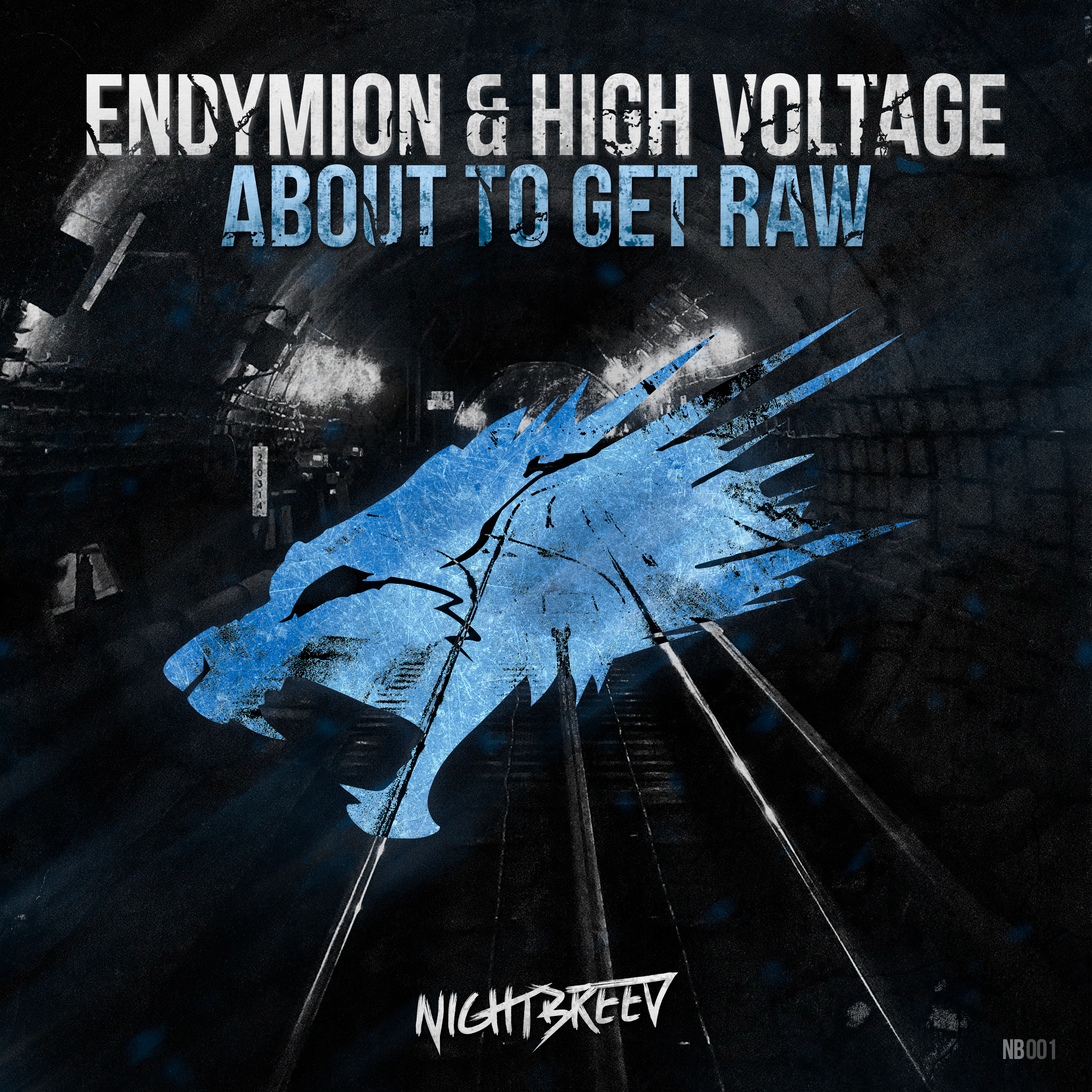 Endymion & High Voltage - About To Get Raw [NIGHTBREED RECORDS] NB001