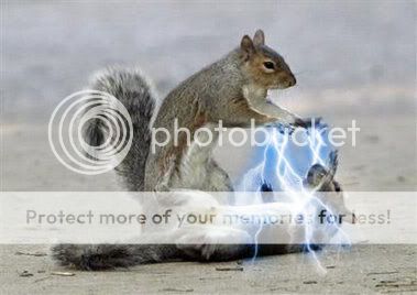 The Funny Star Wars Pictures Thread - Page 2 Squirrel_sith_lightning