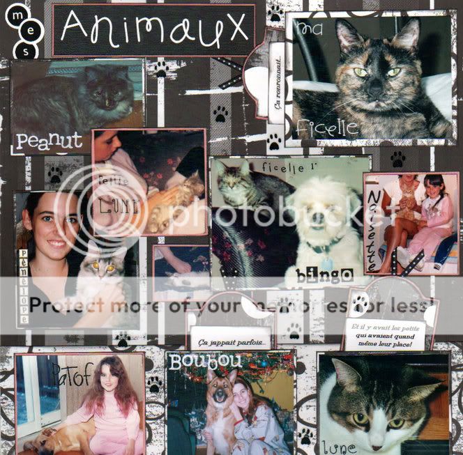 ** mes animaux ** Mesanimaux