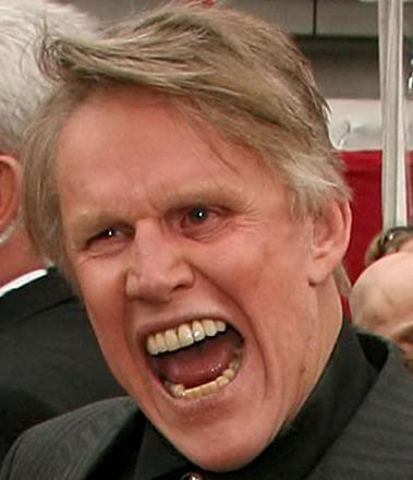 Last Movie you Watched? - Page 16 Gary_busey
