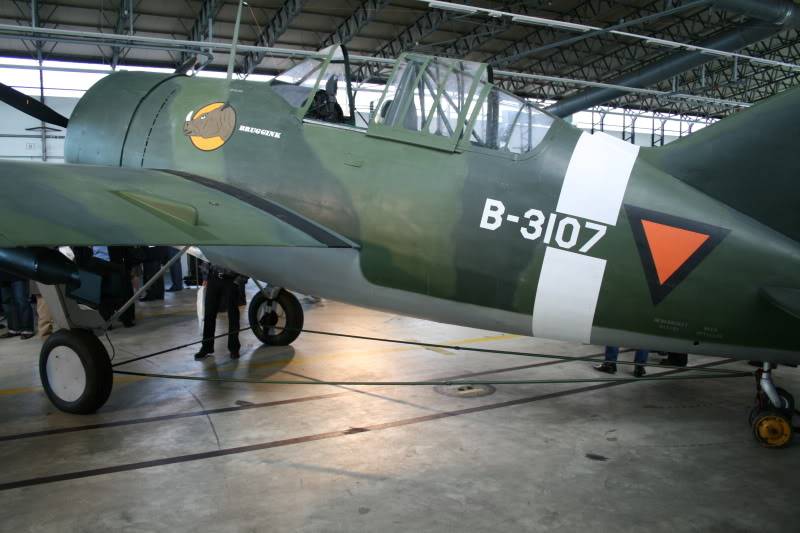 Brewster B 339 Hollandais Afbeelding191