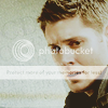 HE'S BACK • Jensen Ackles [RESERVE] Spn42220kelzies