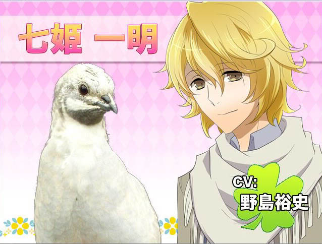 St. PigeoNation's Registration HatofulKazuki