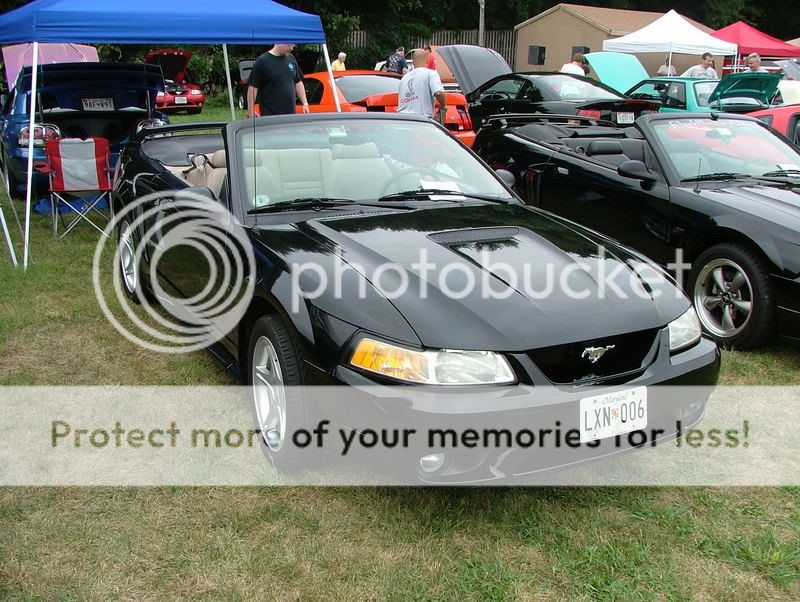 --FOR SALE-- 2000 Mustang GT Vert DSCF1288