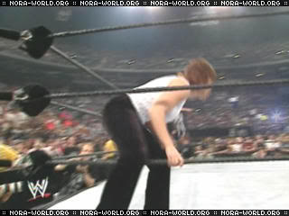 20 Diva Royal Rumble Match Molly4