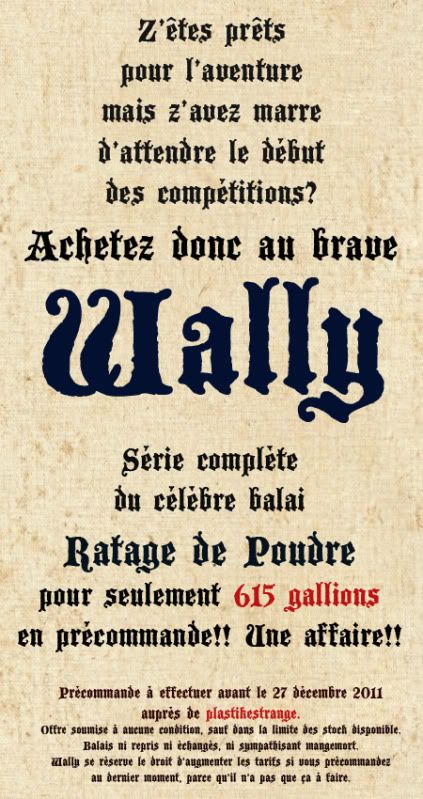 Panneau d'Affichage Magique de la Coupe d'Europe de Quidditch Wally_1