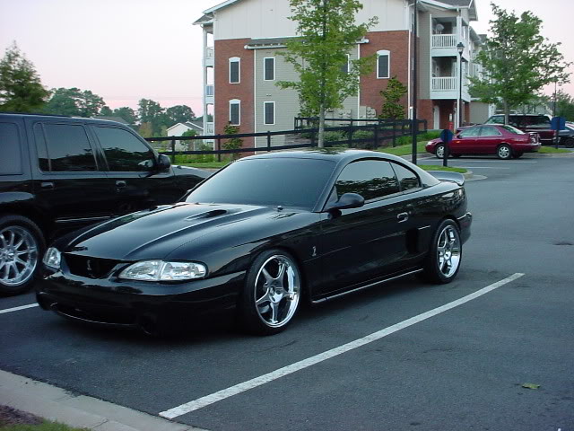 Some of my favorite Sn95 from a few sites.  No 56k Z14-6