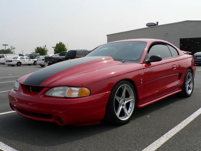 Some of my favorite Sn95 from a few sites.  No 56k Wow-1