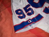 NFL jersey Collection Th_100_0315