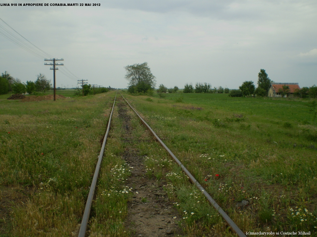 110 : Piatra Olt - Caracal - Corabia P1010057-4