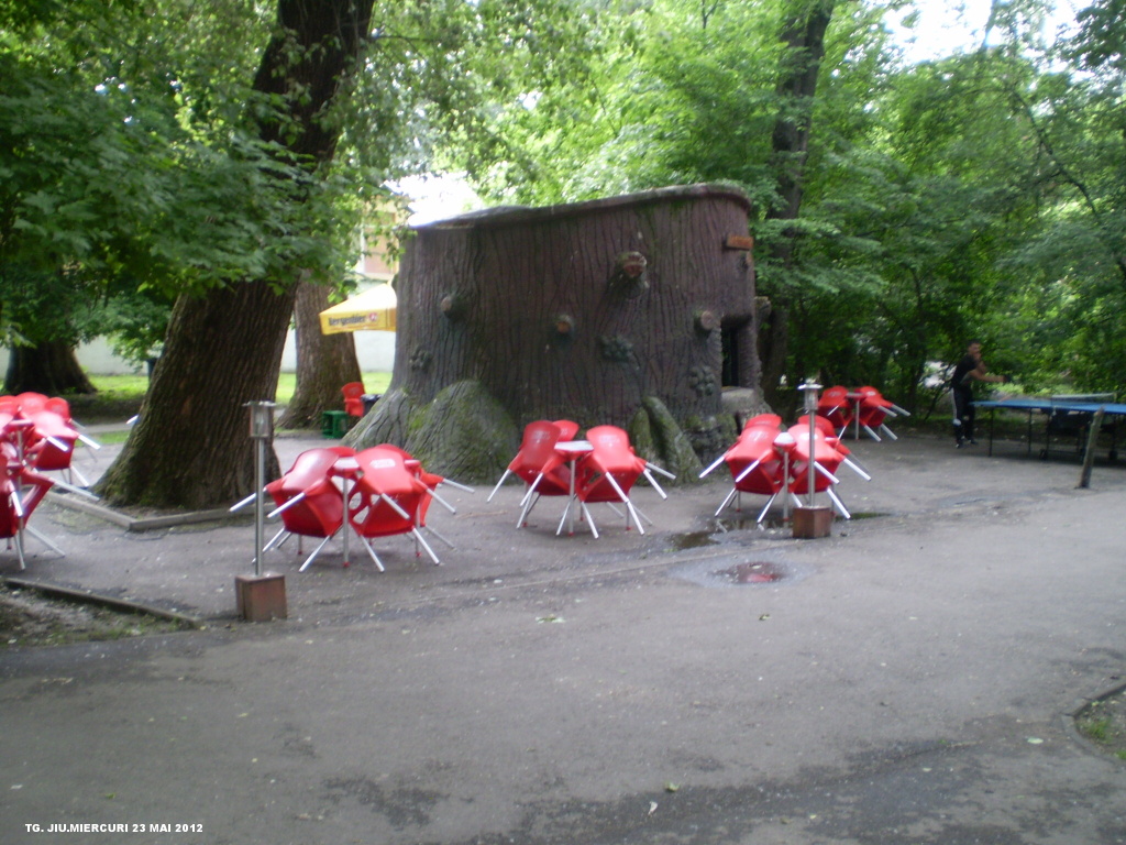 PARCUL CENTRAL CONSTANTIN BRANCUSI - TG. JIU P1010179-1