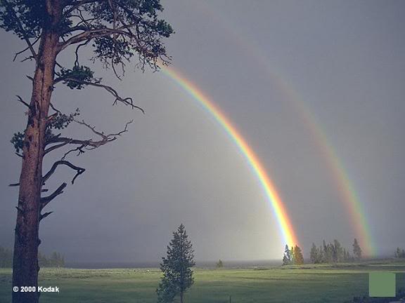 Tuyệt Vọng..... RAINBOWS-3