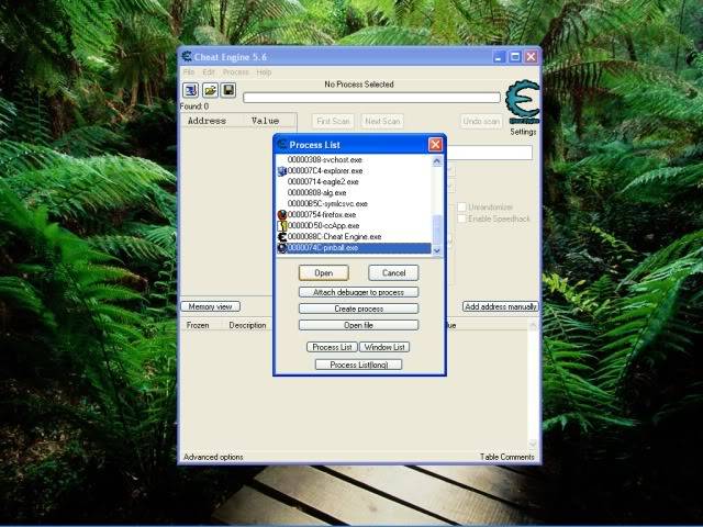 [TUT] Using Cheat Engine PinballProcess