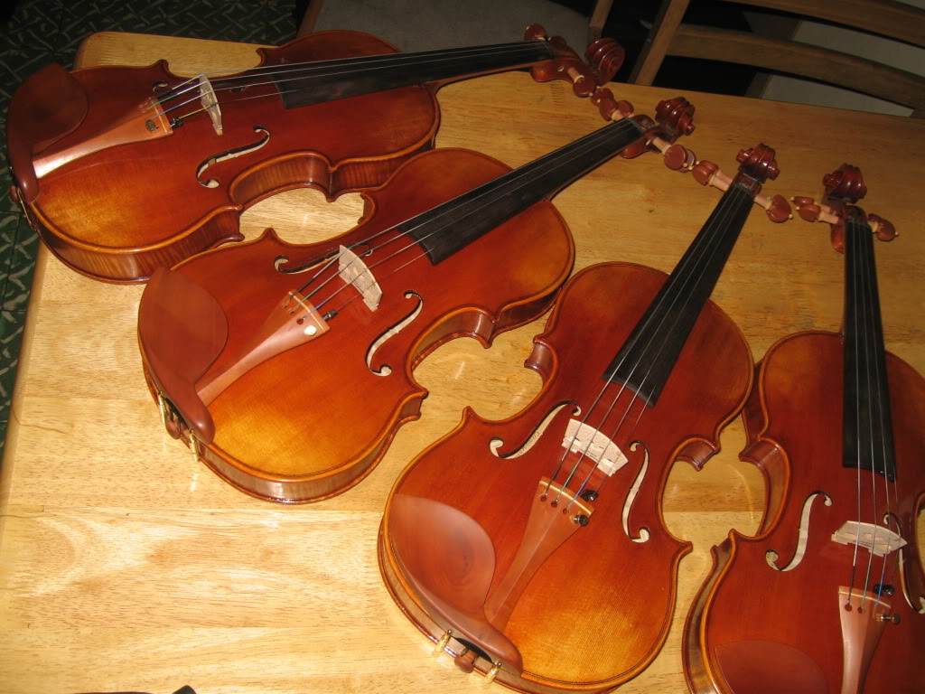 Violin brands 001-5