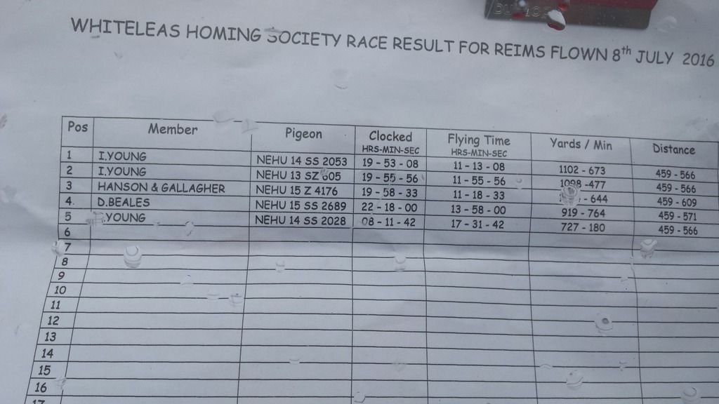 whiteleas hs reims result 459 miles  20160711_094904_zps5nglwaey