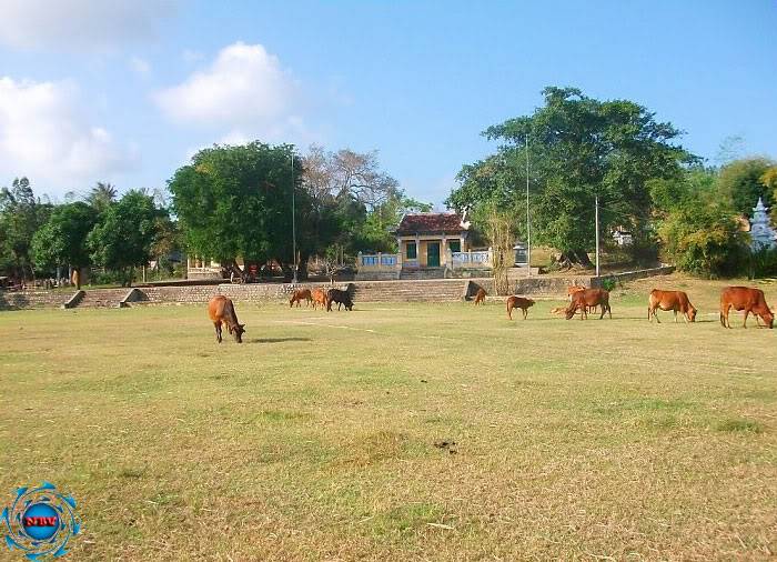 Một Thoáng Tuy An 1298382986710218129_574_574