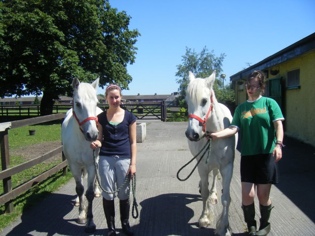 Photo's of Mandy and Bailey Kerrytrip001