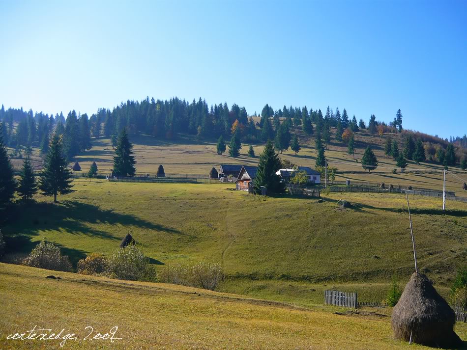 PEISAJE MONTANE P1240880