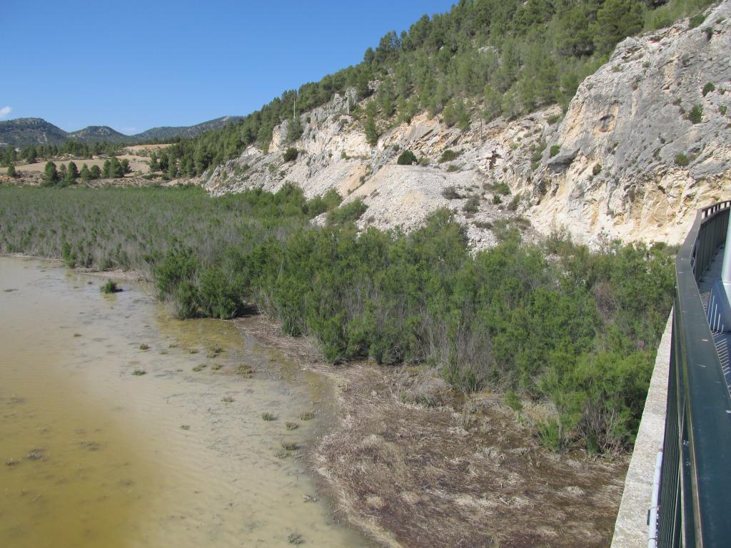 salida al campo, caracoles plantras y paisajes Gam490_zps447d0e2f