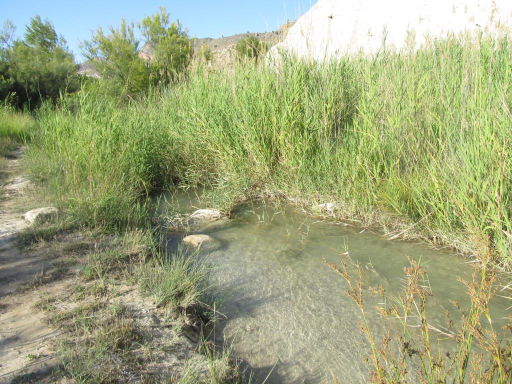 salida al campo, caracoles plantras y paisajes Gam579_zpsb8702f34