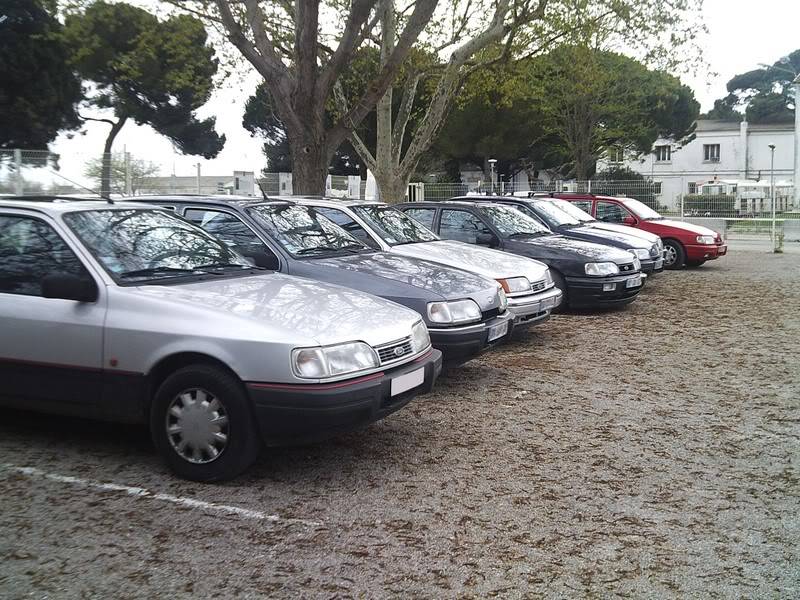 sortie Ford'ever sur le littoral camarguais SUNP0037