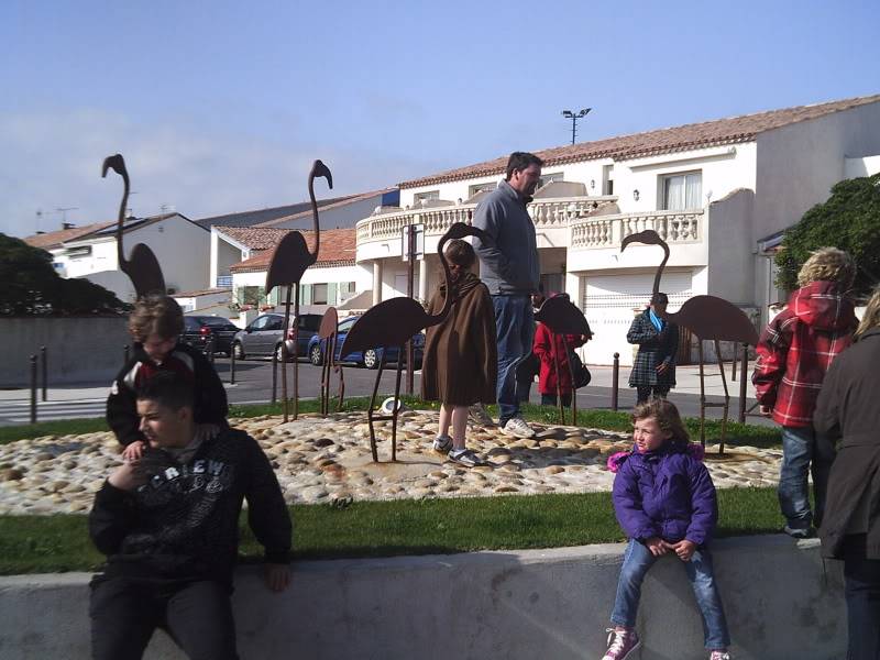 sortie Ford'ever sur le littoral camarguais SUNP0086